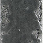 A041178 Pukka Smoke 6,4x26 CARMEN