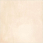 Rare Ivory 60x60 Colortile