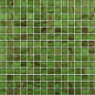 G24(5) Gold Star (5) 2x2 32.7x32.7 (32.2x32.2) ROSE MOSAIC