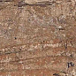 Kiwi Redroot Mat 20x120 Alpas Euro