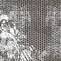Starling Ash Dec 03 B 30x90x0,94 Gravita