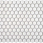 KHG23-1G (23*26)260*300*6 Imagine lab