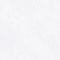 ZA-D12603 Glazed PR 1200x600x9 Vizavi