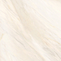 60120CAA01 Carolina Crema Sugar 600x1200x9.5 Delacora