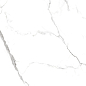 CP4005-A Statuario Fine Carving Pro 60x120 Creanza фото в миниатюре 2