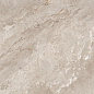 N20767 Rome Taupe Polished 60x120 Neodom фото в миниатюре 4