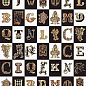 PF60011447 Manifesto Lettering B 120x280 Versace (Gardenia Orchidea) фото в миниатюре