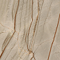 774891 Nature Mood Rainforest Comfort 6mm 60x120 Casa Dolce Casa