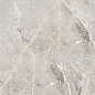 GT1206012101SPR Tulip Серый Полированный 60x120 Global Tile