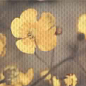 STG/A388/15050 Ньюпорт Лютик 15х40 Kerama Marazzi