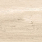 Dixie Almond 20x120 Geotiles