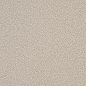 TRM35061 Taurus Granit 30x30 RAKO