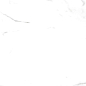 CR117 Salvatore Carving 600x600 PrimaVera