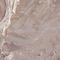 LU628356 Onice Malaga Lucidato 8mm 60x120 IRIS FMG