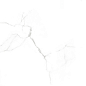 Calacatta Lite 600x600 Velsaa