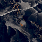 GT120604305HPR Paradise Черный 60x120 Global Tile