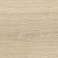 41728 Bloom Dune SP/24x151x0,9/R 24x151 Peronda