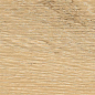 ENWD6032SR845 Oakland Honey Matt Relief 80x450x8 Ennface