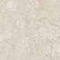 NTT9453M Zeus Taupe Mat 60x120 NT Ceramic фото в миниатюре