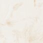 ETONX1212GL6060 Honey Onyx Glossy 60x60 Eternal