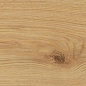 AO48 Exence Almond 20x120 Atlas Concorde