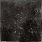 Florentina Sibby Black 15x15 Nanda Tiles фото в миниатюре