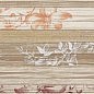 WITVE033 декор бежевый (комплект 2шт) 40x60 RAKO