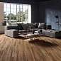 1108 Modena Honey Mate 120x20 Artcer
