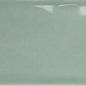 124934 O SAGE GLOSS 7,5x30 WOW