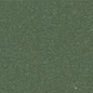200RE0VEA rct.10 Green Australian VEA 10x20 Winckelmans