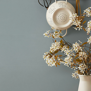 Flora MARAZZI Italy