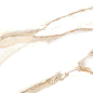 6060SAC11P Sandy Carrara 60x60 LCM