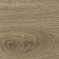 WD106 Branch Taupe 20x120 PrimaVera