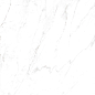 Calacatta Domino Polished 9mm 60x60 A-Ceramica