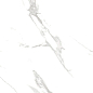 R_PR2000 Carra Grey Polished 60x120 Royce