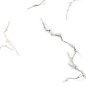 PR124 Kalos Bianco Polished 600x600 PrimaVera