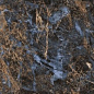 Damask Polished 60x120 Realistik