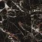 TP66M10 Борзонти матовый 60x60 PrimaVera фото в миниатюре