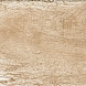 WOODLAND WALDEN Wild 30x240 Cotto D’Este