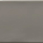 Ocean Gloss Dark Grey 7.5x30 Ribesalbes