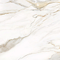 D12054M Omega Gold 1200x600x9.5 Delacora