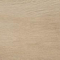 Leccio Gentile 10x40 Serenissima Cir