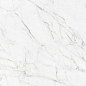 N12045 Carrara Giaola Polished 60x120 Neodom