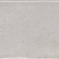A031480 Calpe Grey 7.5х30 CARMEN