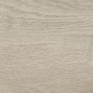 Canus Oak Carving 20x120 Gravita