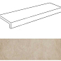 41380 WALK ELEM.ELLE BEIGE 15x30 Gardenia Orchidea (Versace)