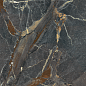 Dusk Black-D 60x120 La Platera фото в миниатюре 5