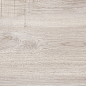 WT9VET11 Vertus Oak 249x500 AltaCera