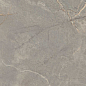 BR03 Bernini Grey полированный 60x120x10 Estima