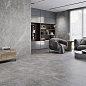 Pietra Antica Strokes Grigio 33.3x100 Benadresa